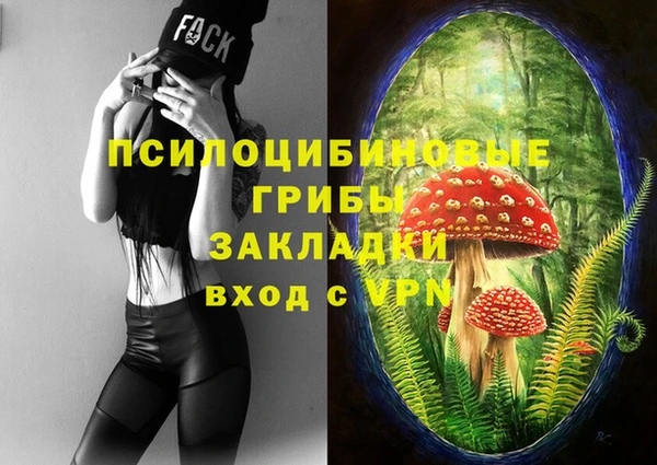 экстази Кулебаки